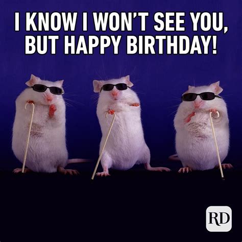 Funny birthday images - Happy Birthday. When it’s the special day of someone you care about, the best thing to do – since you can’t buy them a time machine – is share a funny birthday pic. Our …